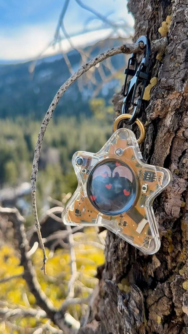 Real Oneira product attached to a tree in a mountain setting